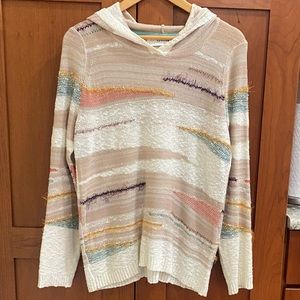 Anthropologie Sparrow Hooded Sweater